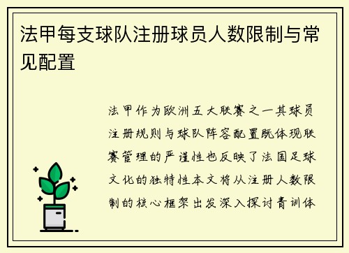 法甲每支球队注册球员人数限制与常见配置