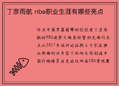 丁彦雨航 nba职业生涯有哪些亮点