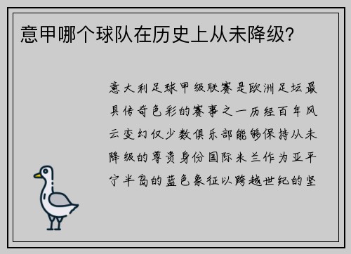 意甲哪个球队在历史上从未降级？